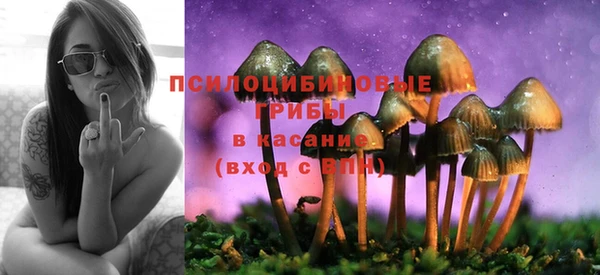 твердый Армянск